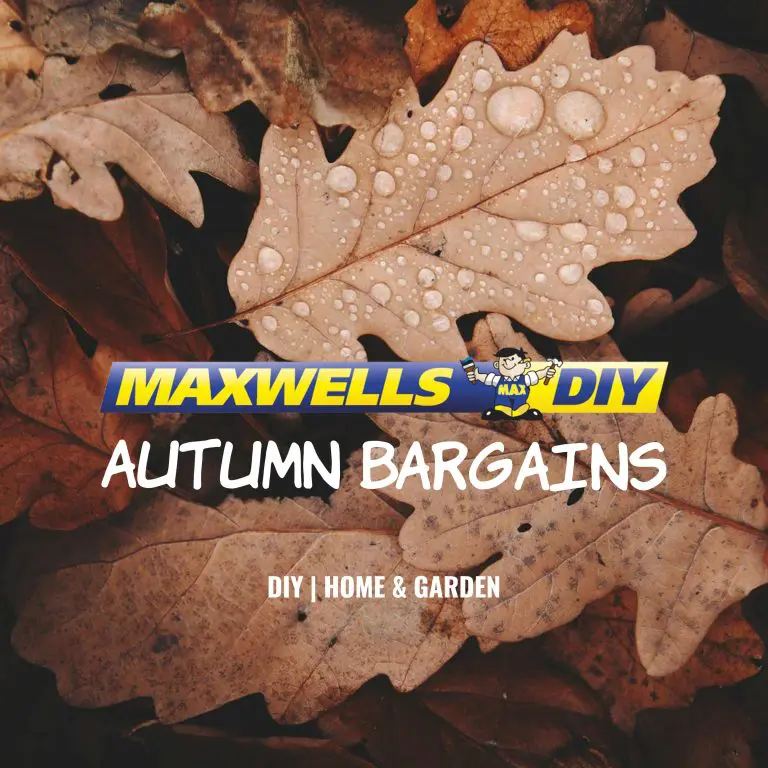 Autumn/Winter Bargains 2024