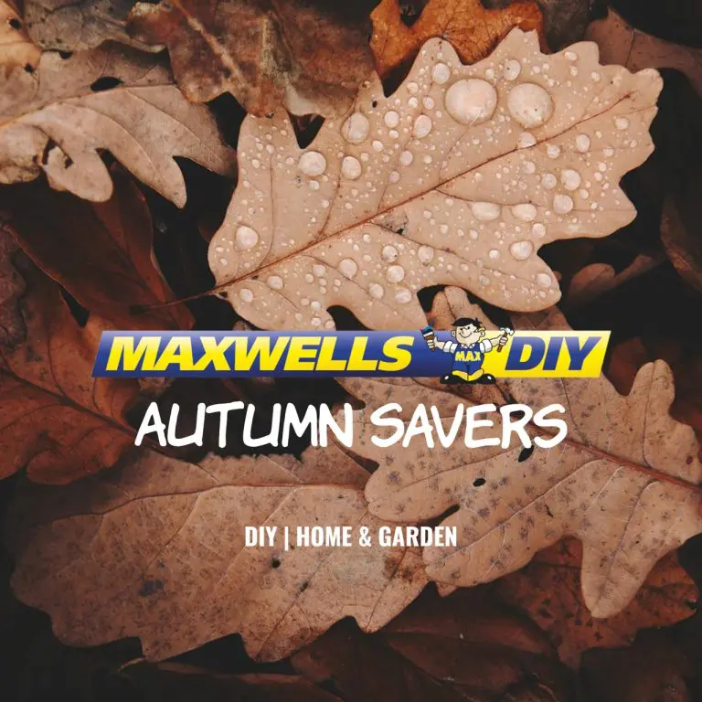 Autumn/Winter Savers 2024